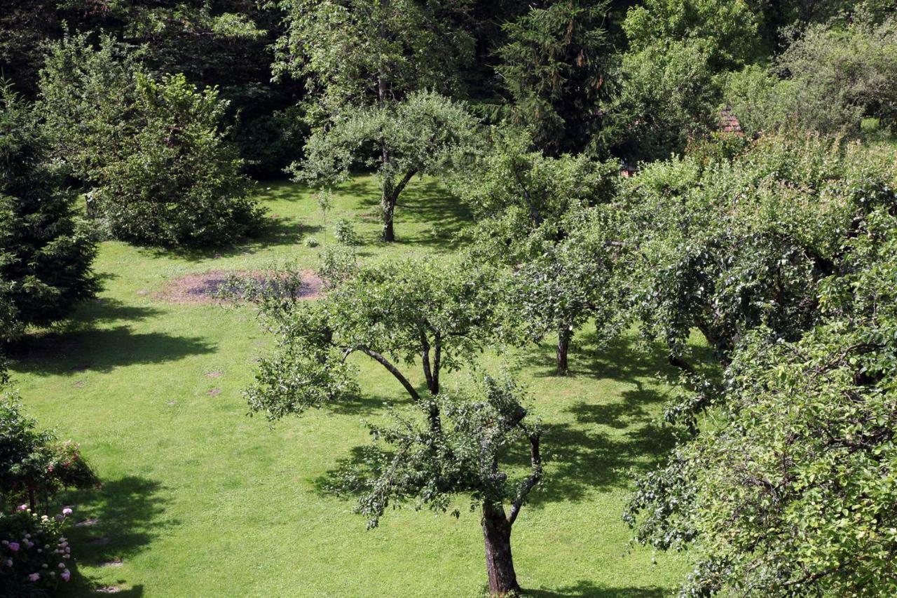 Apple Tree Apartment ซาเกร็บ ภายนอก รูปภาพ